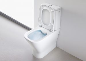 Roca rimless toilet